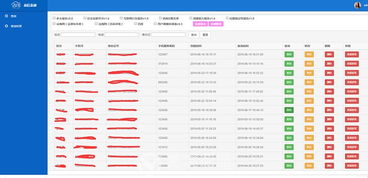 25175征信查询管理系统 信息系统集成服务的关键实践与价值